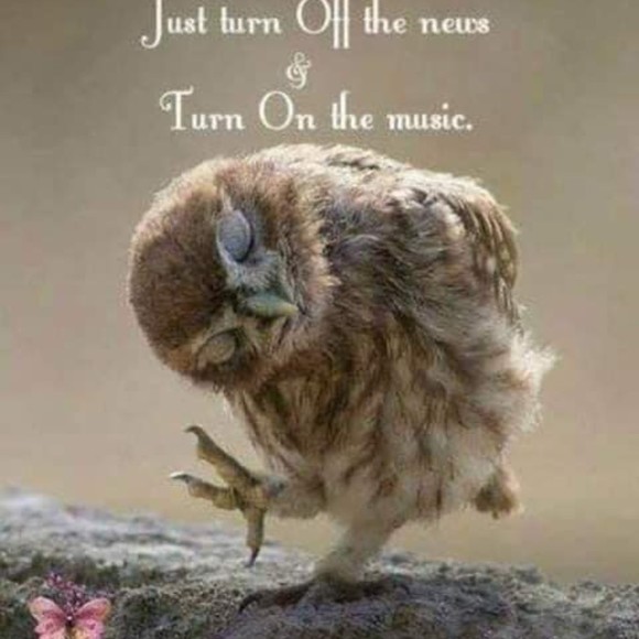 Profile Picture of Pamela Vierling (@jhypatia) on Poshmark