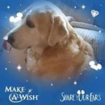 Profile Picture of Freda Addison-Teeter (@addisonteeter) on Instagram