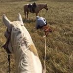 Profile Picture of Cody Mahaffey (@cody.mahaffey) on Instagram