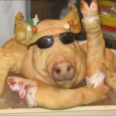 Profile Picture of André Le Pâté (@ALPate75) on Twitter