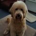 Profile Picture of Renee Morse (@rmorse01) on Pinterest