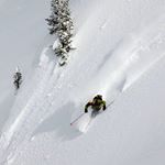 Profile Picture of Tony Pastore (@tony.pastore.9277) on Instagram