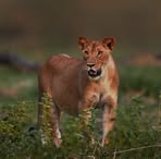 Profile Picture of Punit Pandya (@punit.pandya.507) on Facebook