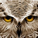 Profile Picture of Aaron Janusik (@master_archivist) on Instagram