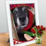 Profile Picture of Bette Porter (@Bette-Porter) on Facebook