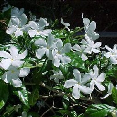 Hossam Khattab - Twitter Profile Picture of Hossam Khattab (@hossamkhattab4) on Twitter