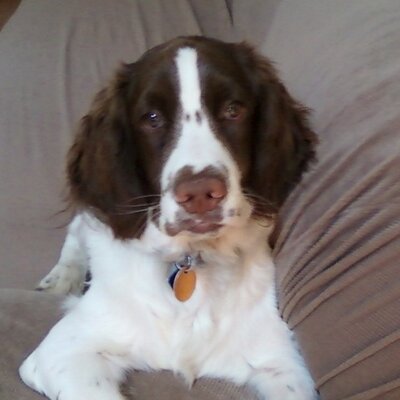 Profile Picture of Frank A Sampson (@FrankASampson) on Twitter