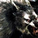 Profile Picture of Alexandre Ahiti Capart (@alexandreahiti.capart) on Facebook