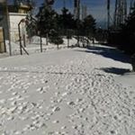 Profile Picture of Michael Rallis (@michaelrallis) on Instagram