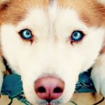 Profile Picture of Allison Rose (@alli_hooker) on Instagram