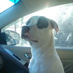 Profile Picture of Jeremy Mcilwain (@mcilwainjeremy) on Instagram