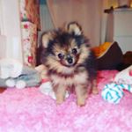 Profile Picture of Melanie moll (@melanie_noll35) on Instagram