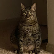 Profile Picture of Derek Millard (@99dfresh) on Youtube