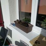 Profile Picture of Thomas Hempel (@thomashempel63) on Instagram