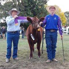 Profile Picture of Harry Healey (@@woodduck777) on Tiktok