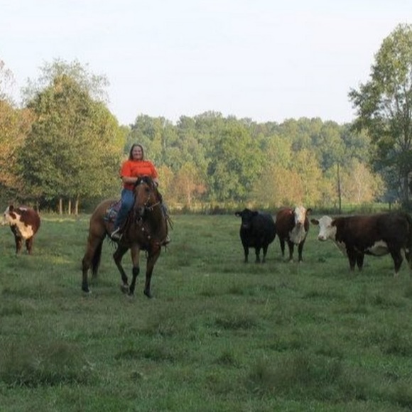 Profile Picture of Cameron Kolinski (@camsherefords) on Poshmark