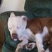 Profile Picture of Mark Spangler (@mark.spangler.1654) on Facebook