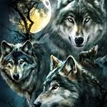 Profile Picture of Dewayne Sibert (@dewaynesibert) on Instagram