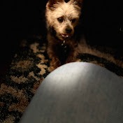 Profile Picture of Rich Tucci (@richtucci4076) on Youtube