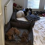 Profile Picture of Michael Eames (@mcke68) on Instagram