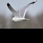 Profile Picture of craig_allenw (@craig_allenw) on Instagram