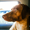 Profile Picture of Jim Malone (@Jim Malone Photos) on Flickr