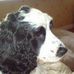 Profile Picture of Tess Mitchell (@tess.mitchell.313) on Facebook