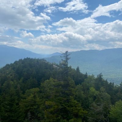 Profile Picture of Ian (@ian0fitzsimons) on Twitter