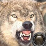 Profile Picture of George Sucarichi (@georgesucarichi) on Instagram