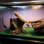 Profile Picture of Ashtyn James Brumfield (@ashtynbrumfield.13) on Instagram