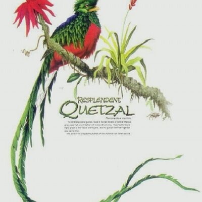 Profile Picture of Eriberto Hernandez (@eriberto89eh55) on Twitter