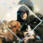 Declan Bennett - Instagram Profile Picture of Declan Bennett (@declan3171) on Instagram