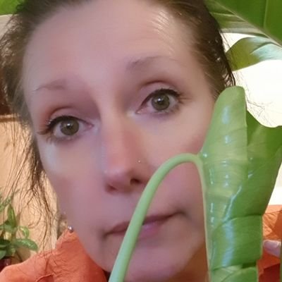 Profile Picture of Lynne Cook (@LynneCo33708550) on Twitter