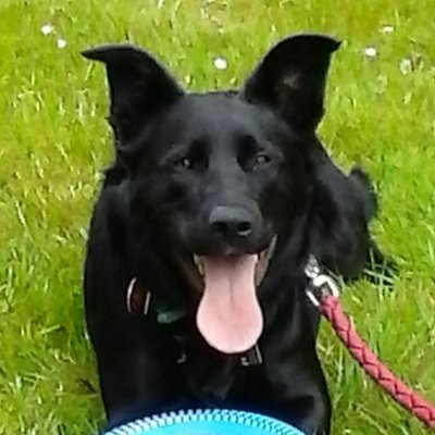 Profile Picture of Kristine Lowder (@RoadDiverged) on Twitter