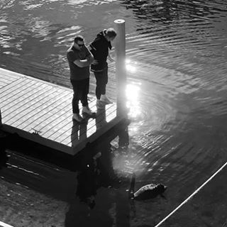 Profile Picture of Daniel Murphy (@Daniel-Murphy) on Facebook