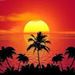 Profile Picture of Janet Ingersoll (@ingersoll2370) on Pinterest
