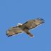 Profile Picture of Ben Ulman (@ben.ulman.5) on Facebook
