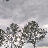 Profile Picture of gab (@@marchpinkle) on Tiktok