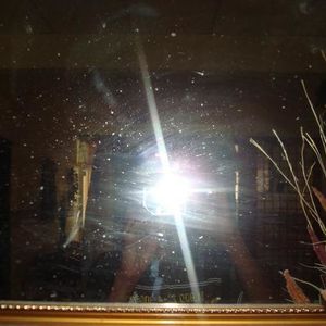 Profile Picture of Syed Naqiuddin (@192757191) on Myspace