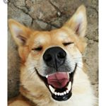 Profile Picture of Nicholas Bonilla Barrantes (@nicholasbonillabarrantes) on Instagram