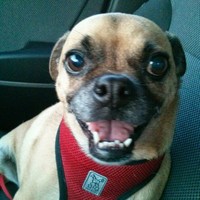 Profile Picture of Hector Wong (@hector-wong-5) on Quora