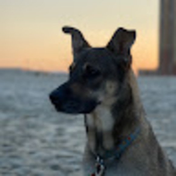 Profile Picture of Taj Getzel (@tajgetzel) on Poshmark