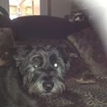 Profile Picture of Moira McCabe (@moiramccabe1707) on Instagram