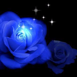 Kris Potter - Twitter Profile Picture of Kris Potter (@SpecialK1325) on Twitter