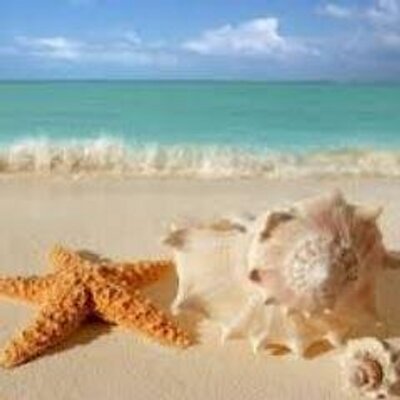 Profile Picture of Katie Beyer (@KatieB812) on Twitter