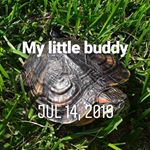 Profile Picture of Paul Lucio (@annoyed4) on Instagram