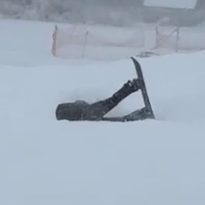 gracevolpe - Tiktok Profile Picture of gracevolpe (@@gracevlp) on Tiktok