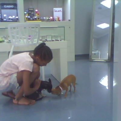 Profile Picture of Gabrielle Joseph (@Joseph12Gj) on Twitter