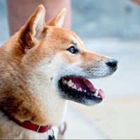 Profile Picture of William Richardson (@william-richardson-76) on Quora