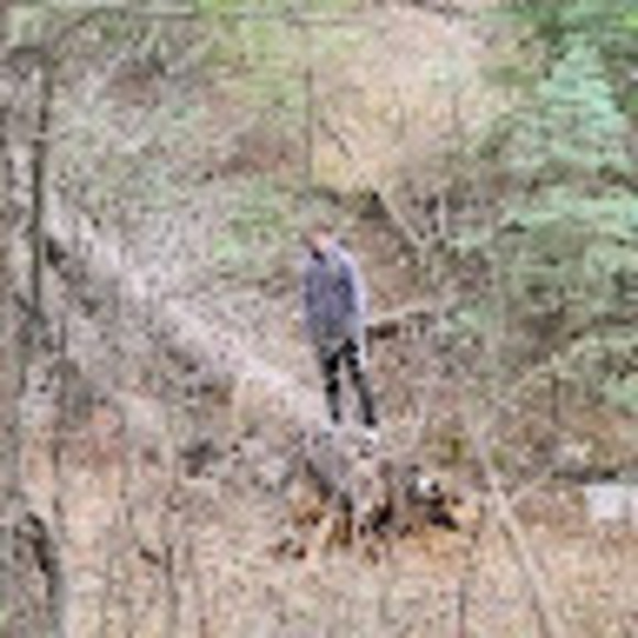 Profile Picture of Justin Truex (@jttruex) on Poshmark